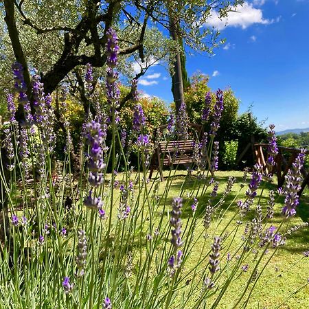 Grove Cottage: Immersed In Nature & Close To Town Città della Pieve Zewnętrze zdjęcie