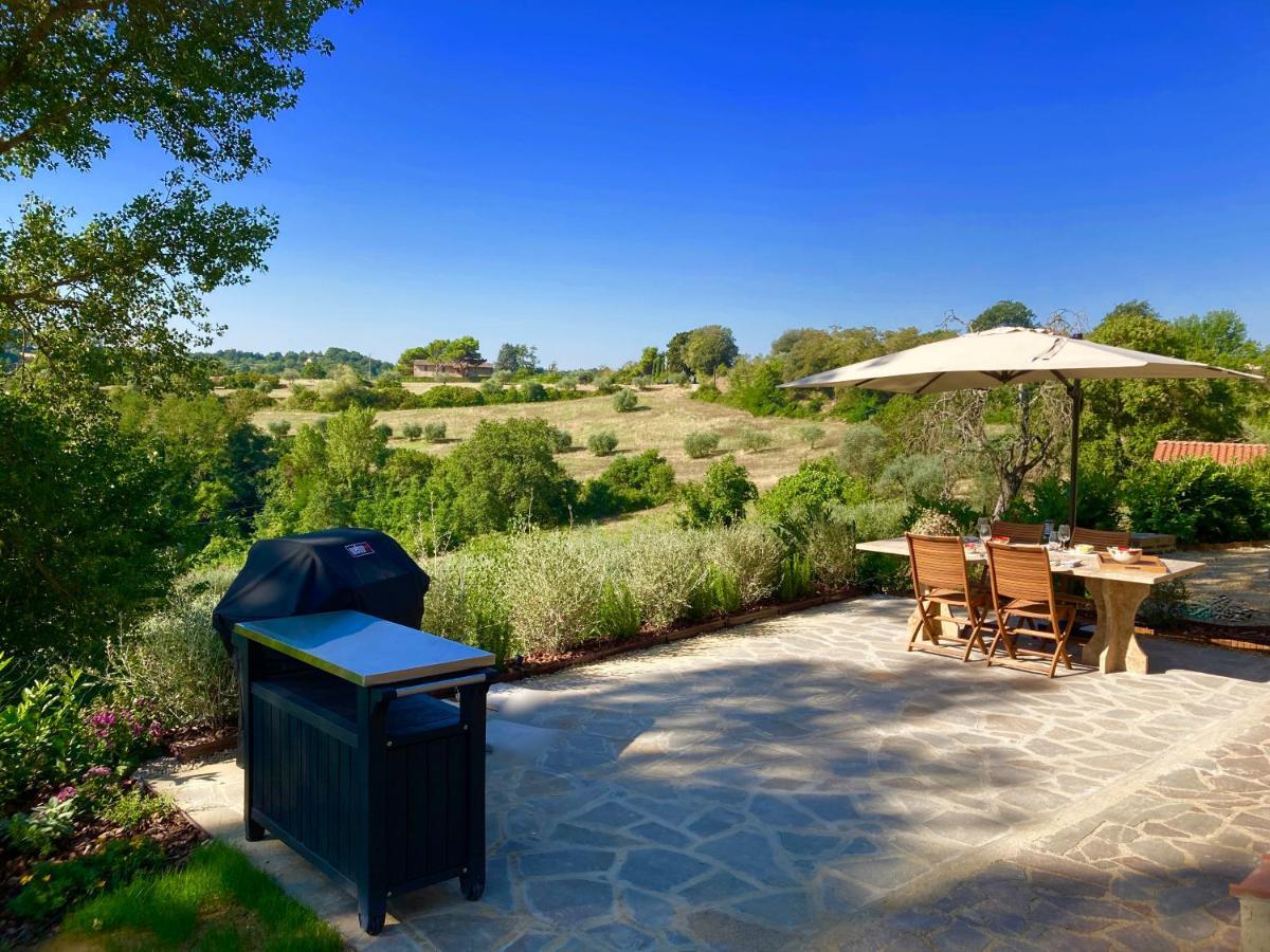 Grove Cottage: Immersed In Nature & Close To Town Città della Pieve Zewnętrze zdjęcie