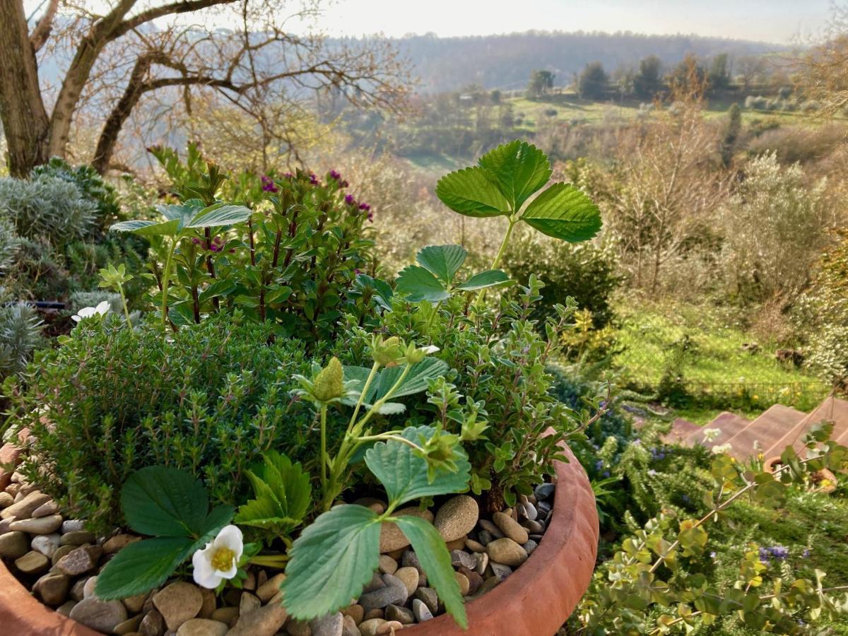 Grove Cottage: Immersed In Nature & Close To Town Città della Pieve Zewnętrze zdjęcie