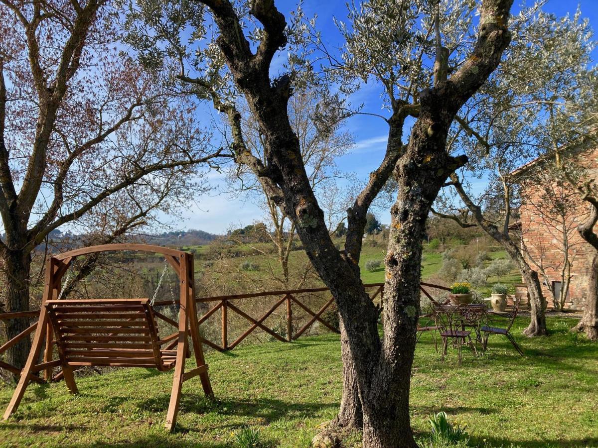 Grove Cottage: Immersed In Nature & Close To Town Città della Pieve Zewnętrze zdjęcie