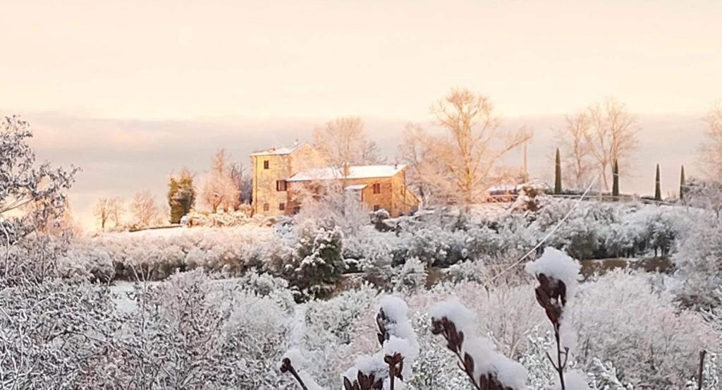 Grove Cottage: Immersed In Nature & Close To Town Città della Pieve Zewnętrze zdjęcie