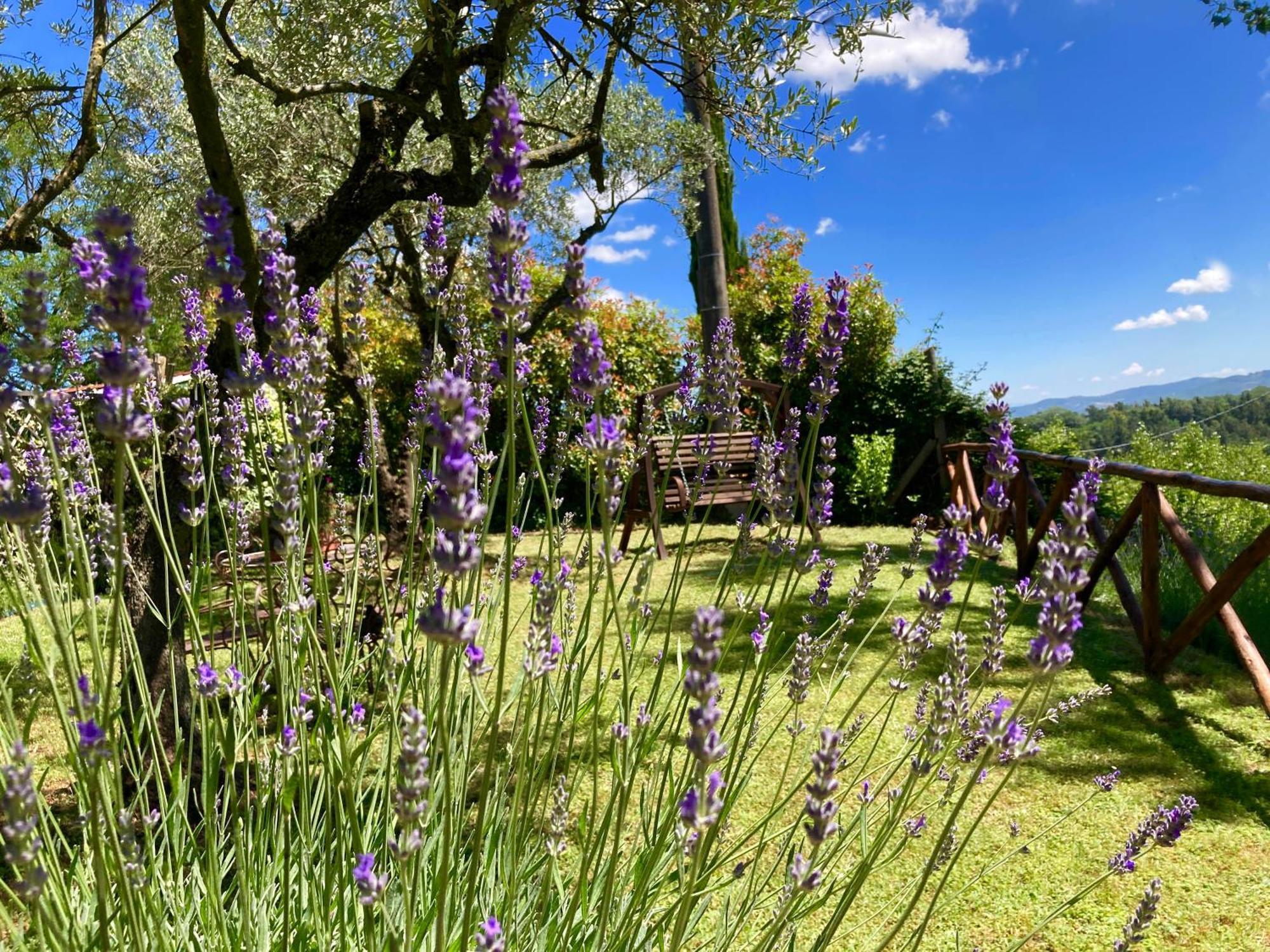 Grove Cottage: Immersed In Nature & Close To Town Città della Pieve Zewnętrze zdjęcie