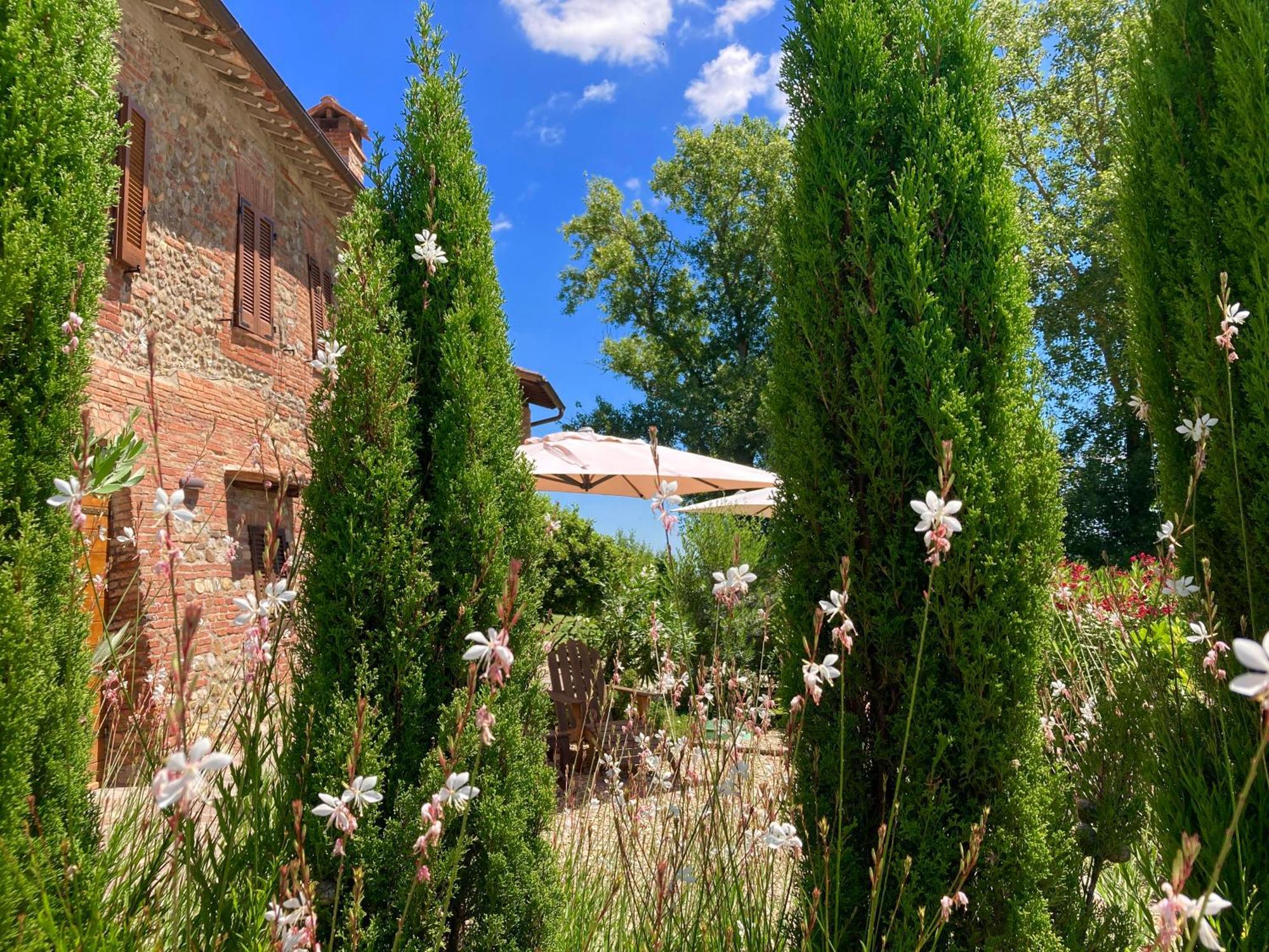 Grove Cottage: Immersed In Nature & Close To Town Città della Pieve Zewnętrze zdjęcie